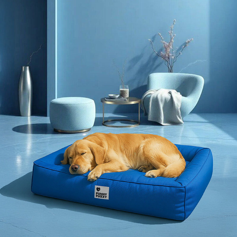 Vollständig Orthopädisches Wasserabweisendes Hundebett mit Rundum-Unterstützung für Große Hunde
