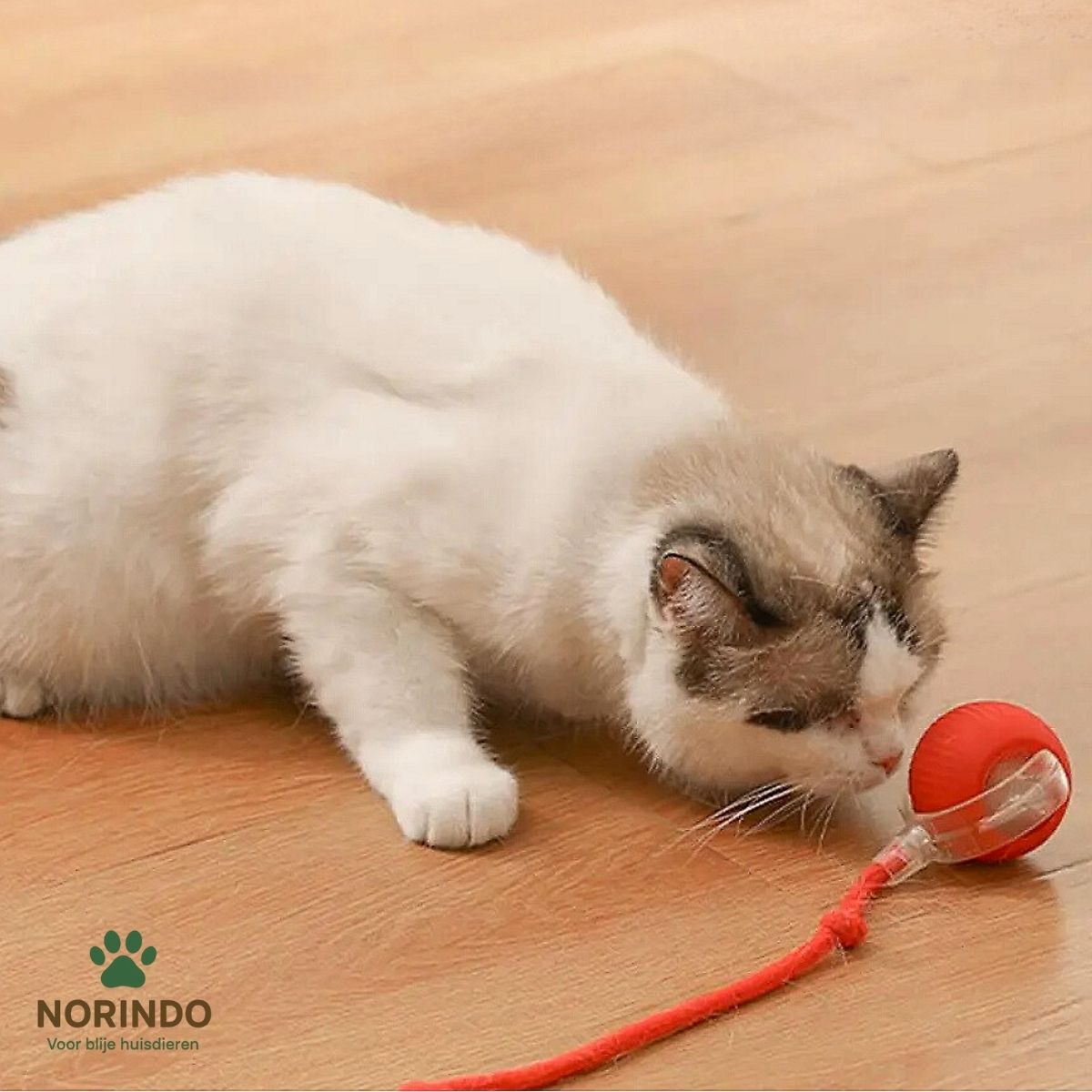 Norindo MovingMouse – Speel, jaag en beweeg