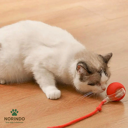 Norindo MovingMouse – Speel, jaag en beweeg