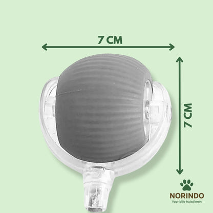 Norindo MovingMouse – Speel, jaag en beweeg