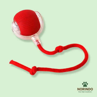 Norindo MovingMouse – Speel, jaag en beweeg