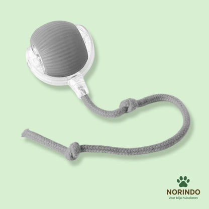 Norindo MovingMouse – Speel, jaag en beweeg