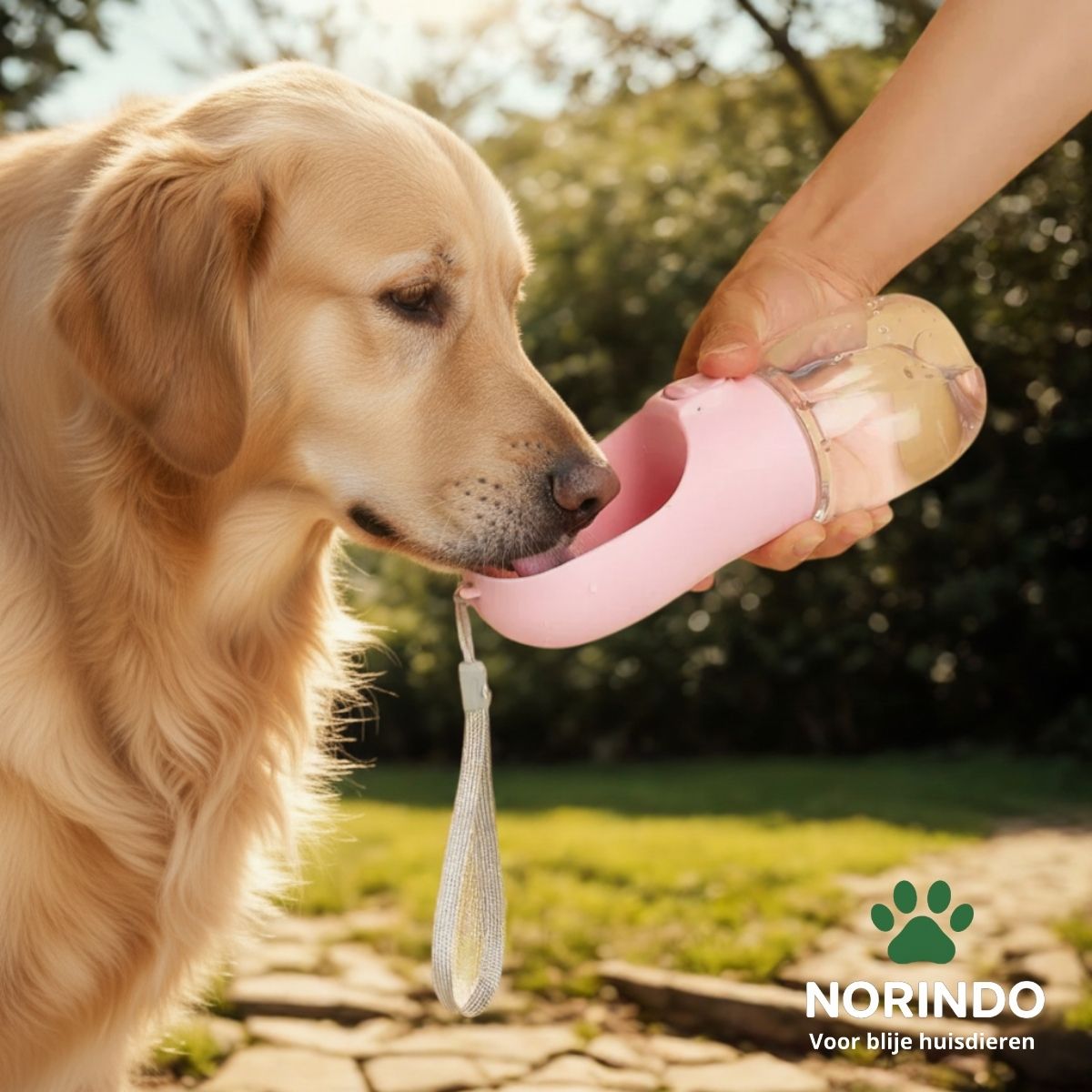 Norindo BuddyBottle – Luxe hondenbidon voor onderweg