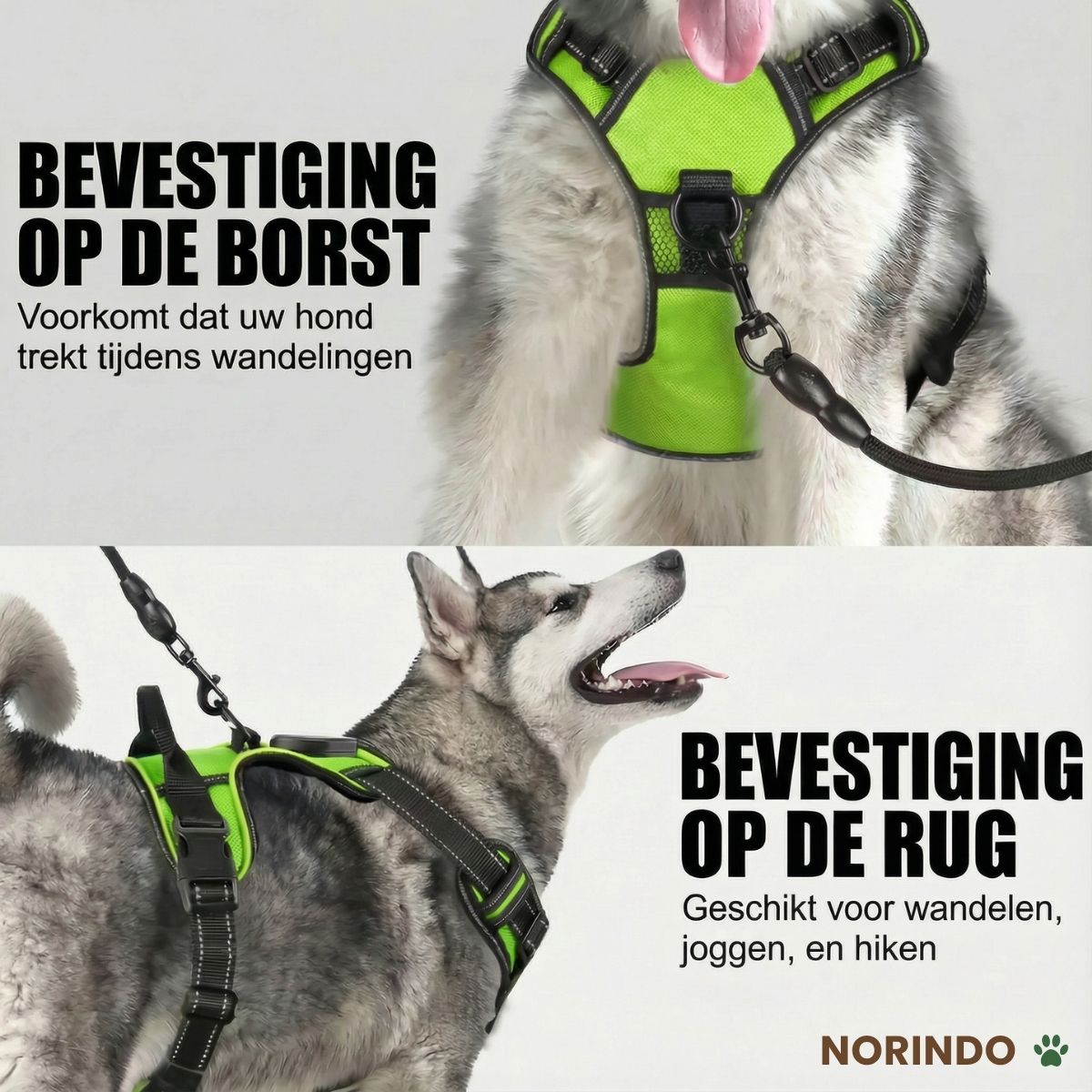 Norindo GlowGuard — Veilig zichtbaar in het donker