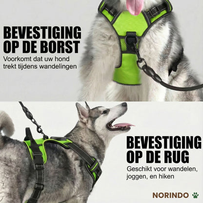 Norindo GlowGuard — Veilig zichtbaar in het donker