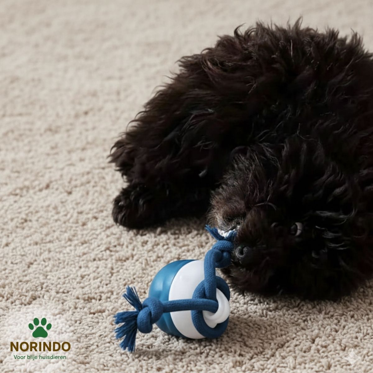 Norindo TwistyTail – Rolt automatisch, met bewegingssensor