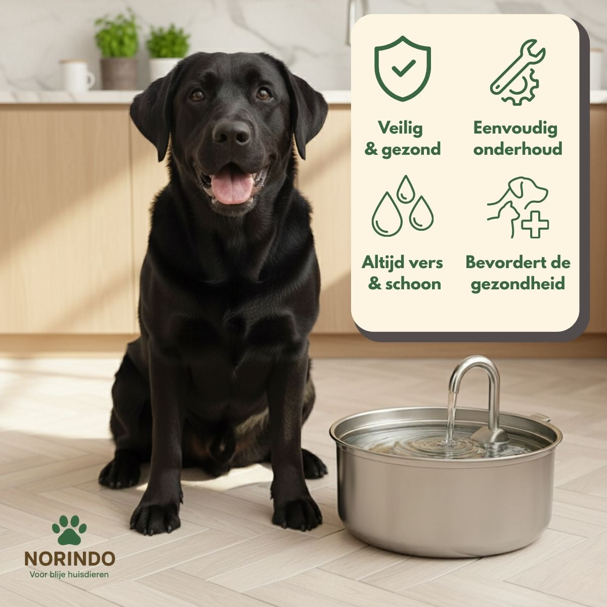 Norindo ForestFlow – Fris stromend water voor gelukkige viervoeters