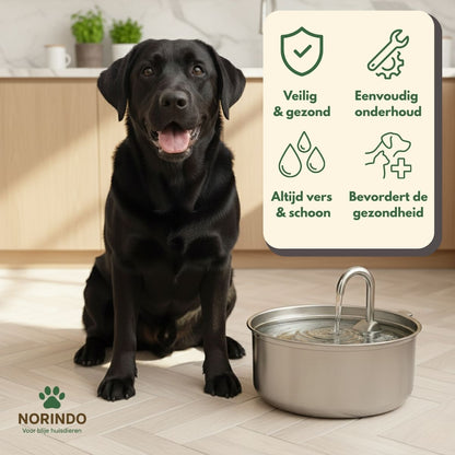 Norindo ForestFlow – Fris stromend water voor gelukkige viervoeters
