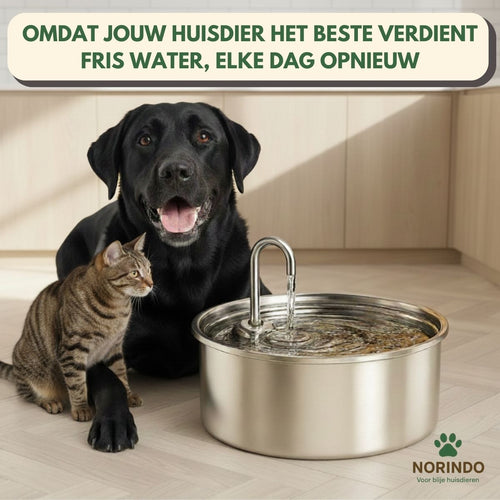 Norindo ForestFlow – Fris stromend water voor gelukkige viervoeters