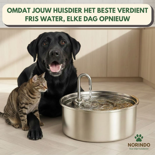 Norindo ForestFlow – Fris stromend water voor gelukkige viervoeters