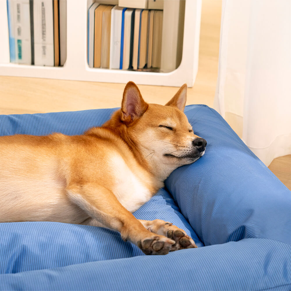 Vollständig Orthopädisches Wasserabweisendes Hundebett mit Rundum-Unterstützung für Große Hunde