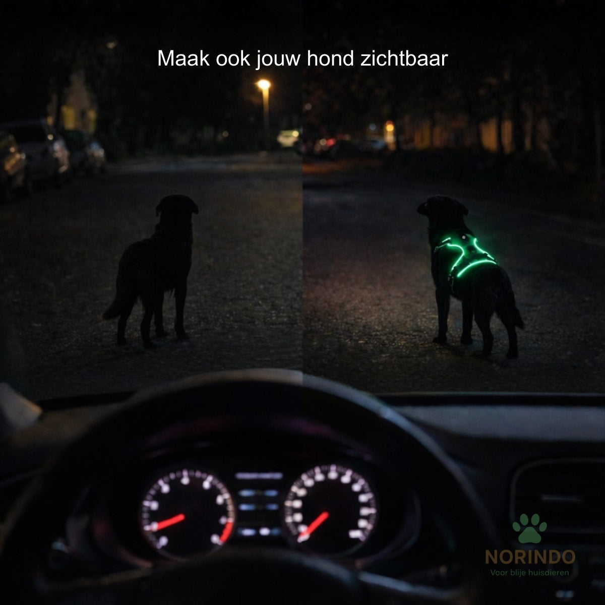 Norindo GlowGuard — Veilig zichtbaar in het donker