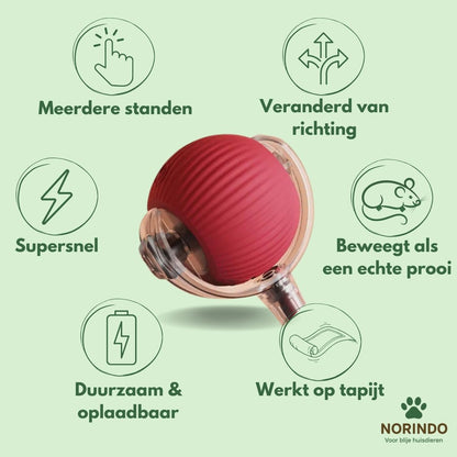 Norindo MovingMouse – Speel, jaag en beweeg
