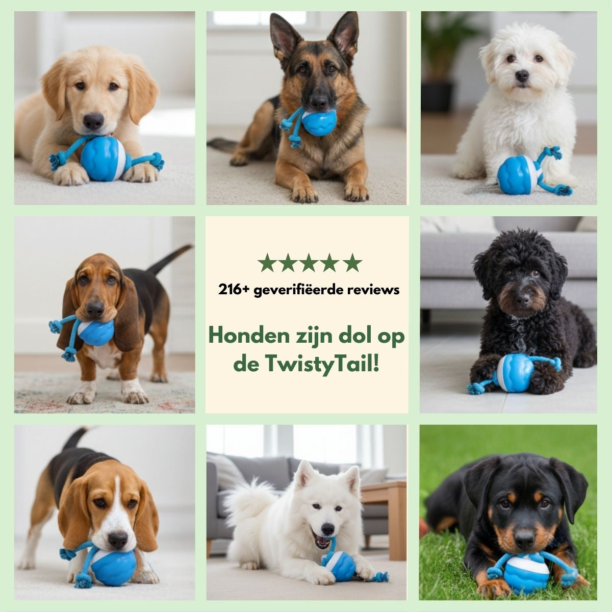 Norindo TwistyTail – Rolt automatisch, met bewegingssensor