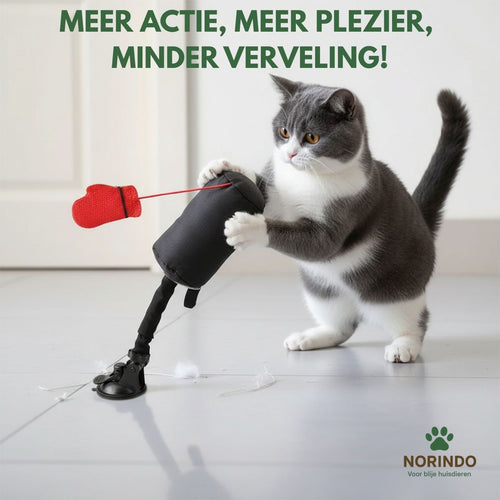Norindo PunchPole – Houdt je kat actief & fit
