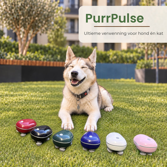 Norindo PurrPulse - De Massage Waar Je Huisdier Geen Genoeg Van Krijgt