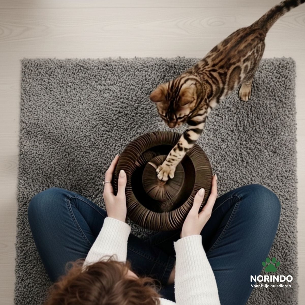 Norindo ScratchShape - Krab, speel, ontspan