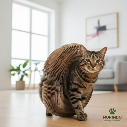 Norindo ScratchShape - Krab, speel, ontspan