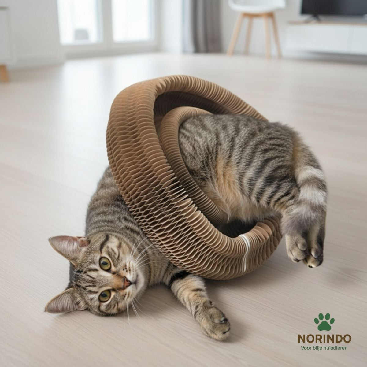 Norindo ScratchShape - Krab, speel, ontspan