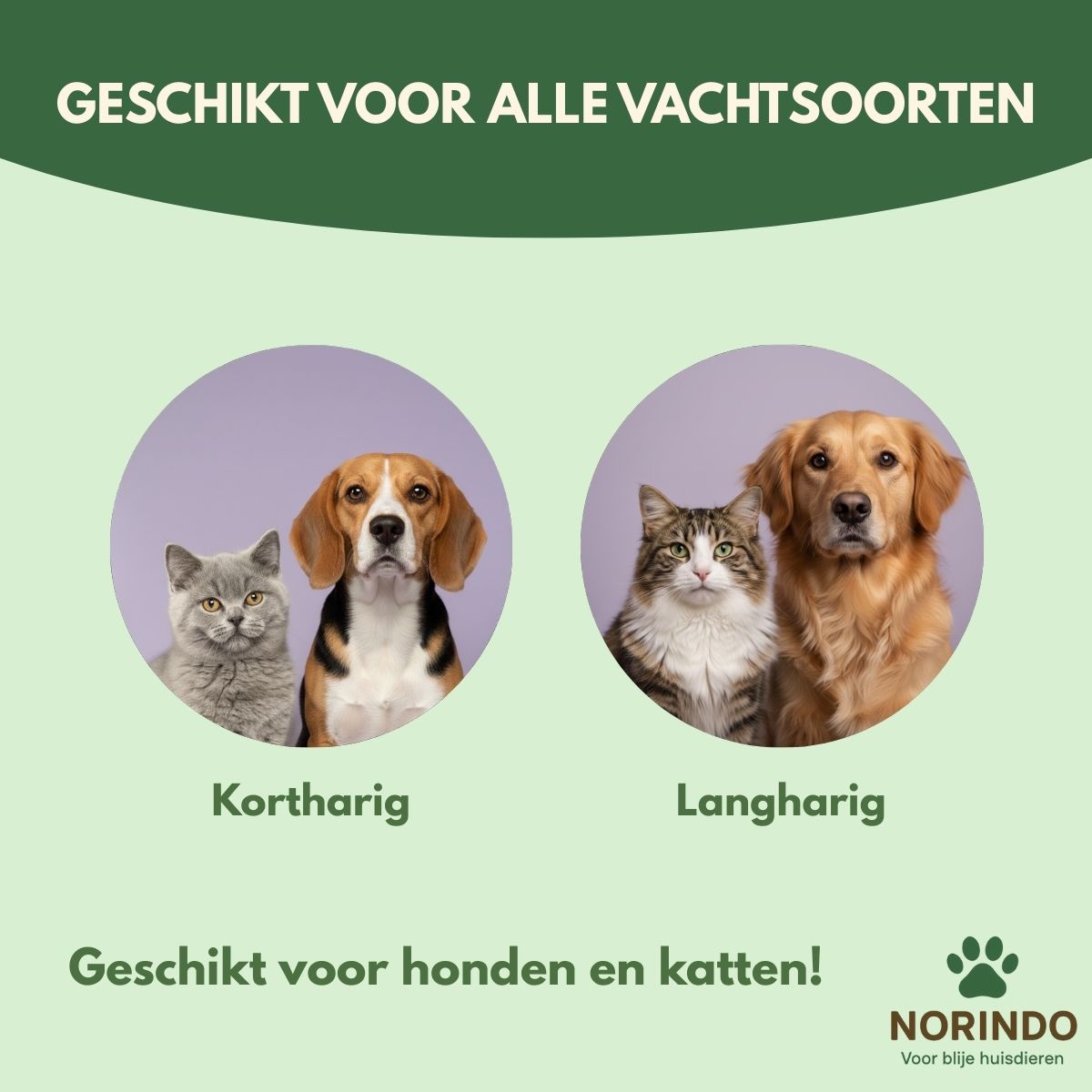 Norindo SilkySwipe – Houdt de vacht glanzend en klitvrij