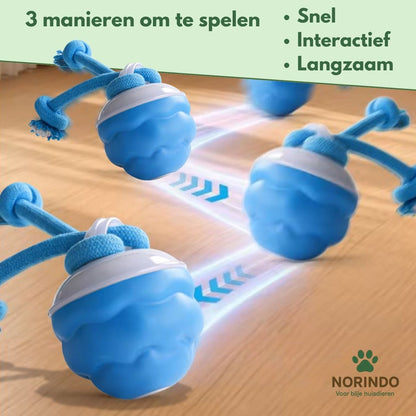 Norindo TwistyTail – Rolt automatisch, met bewegingssensor