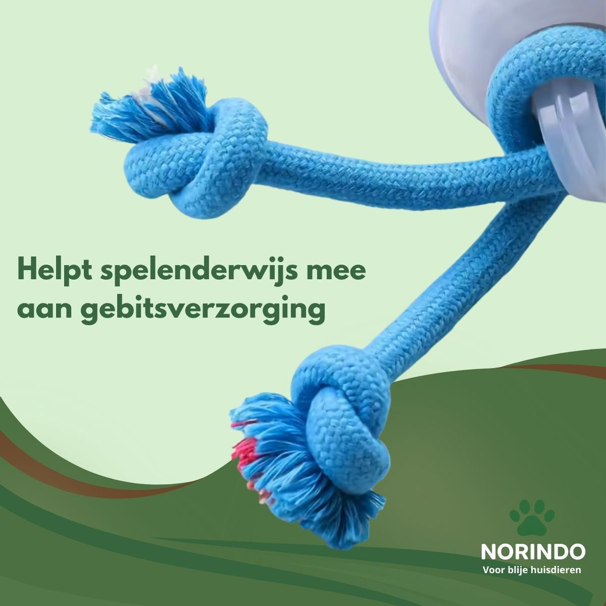 Norindo TwistyTail – Rolt automatisch, met bewegingssensor