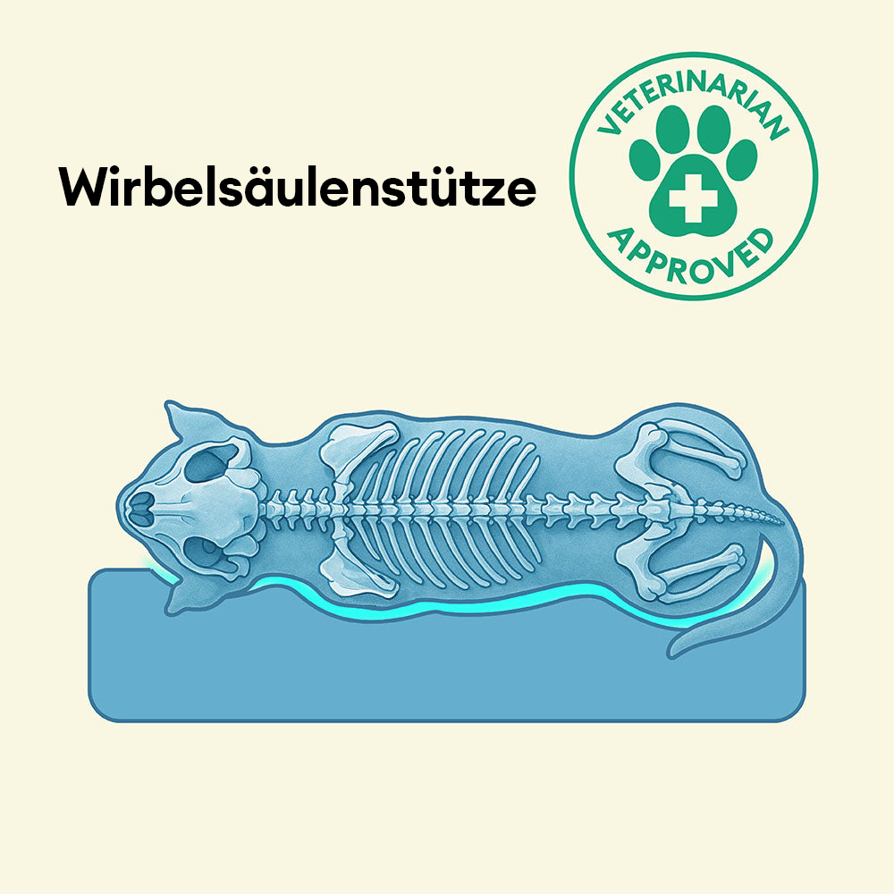 Vollständig Orthopädisches Wasserabweisendes Hundebett mit Rundum-Unterstützung für Große Hunde